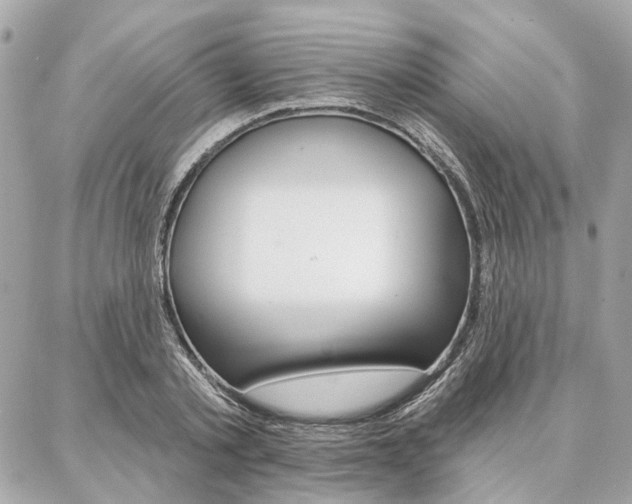 X0000086980789200704161126