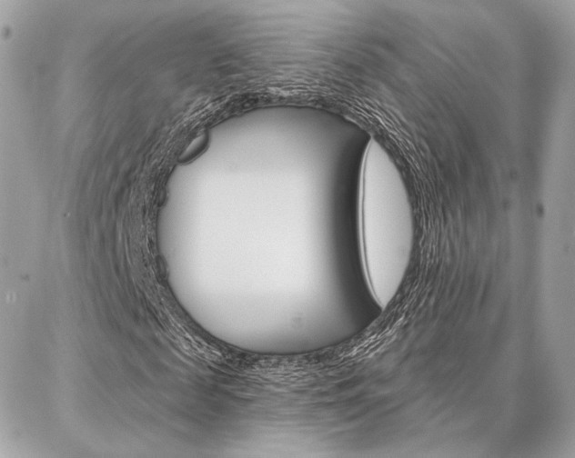 X0000086980817200704161125