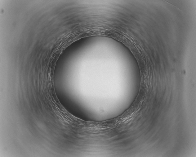 X0000086980818200704161125