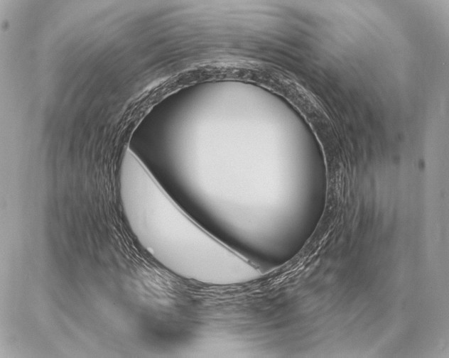 X0000086980821200704161125