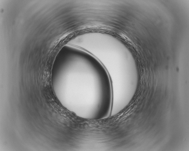 X0000086980822200704161125