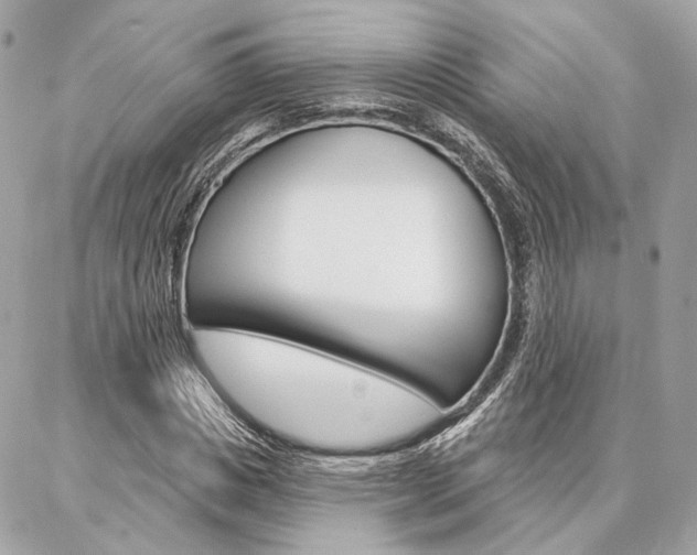 X0000086980825200704161125