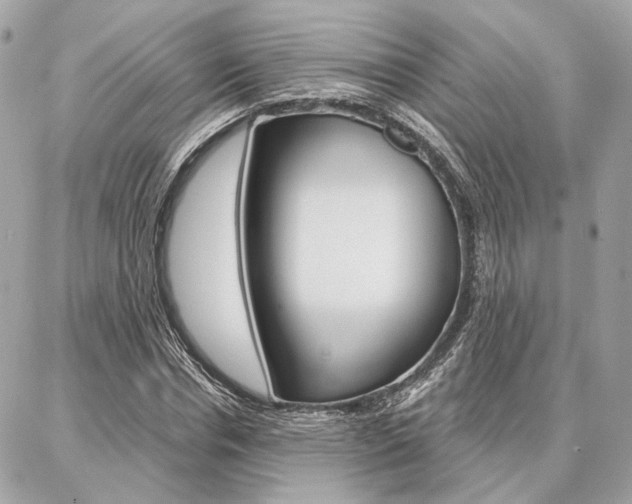 X0000086980826200704161125