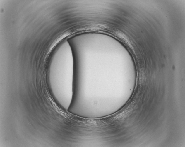 X0000086980827200704161125