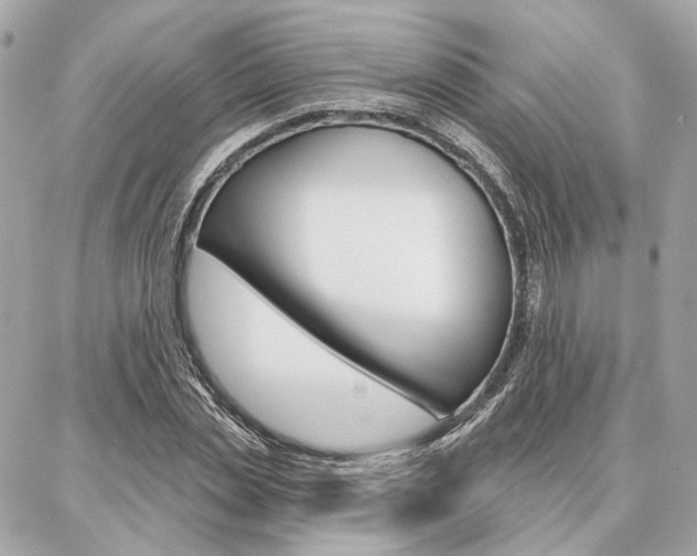 X0000086980829200704161125
