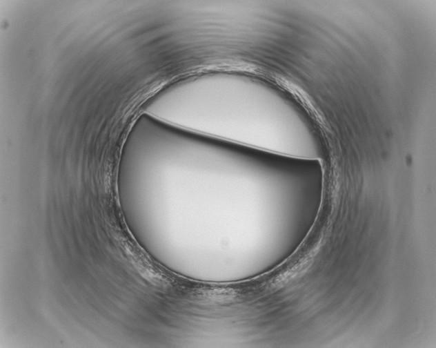 X0000086980833200704161125