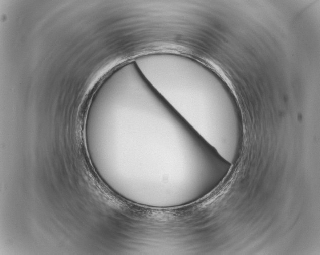 X0000086980835200704161125