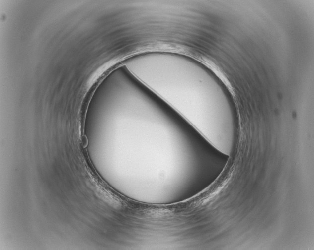 X0000086980837200704161125