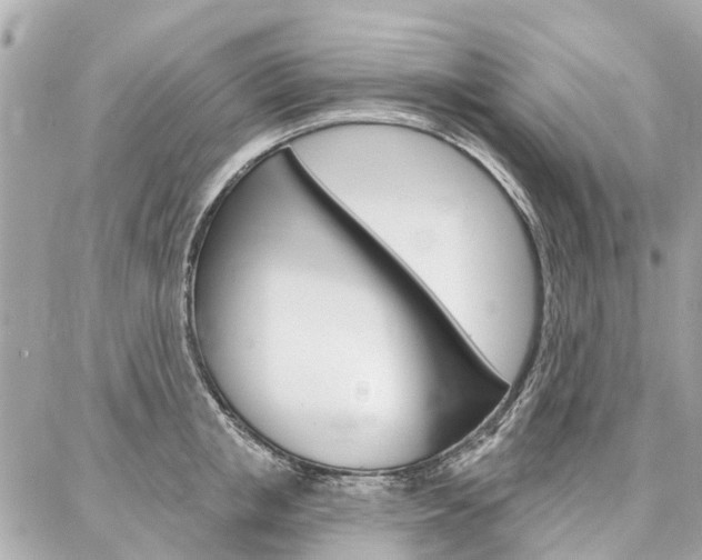 X0000086980853200704161125