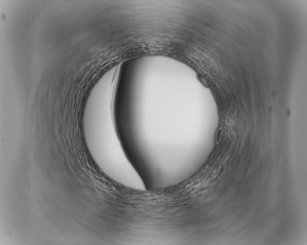 X0000086980865200704161125