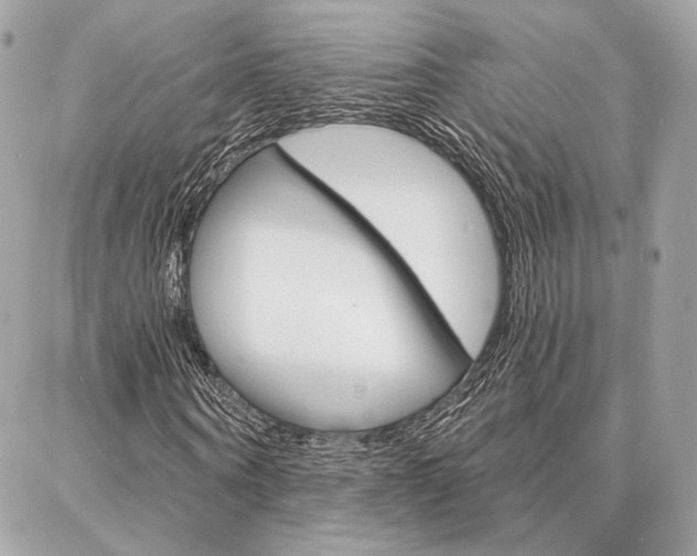 X0000086980866200704161125