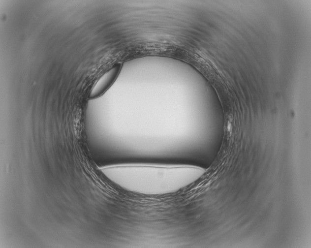 X0000086980867200704161125