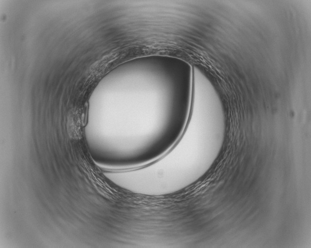 X0000086980868200704161125