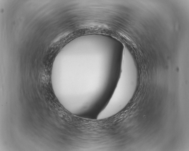 X0000086980869200704161125
