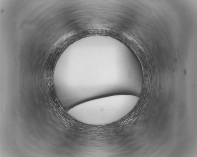 X0000086980870200704161125