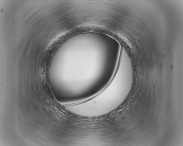 X0000086980872200704161125