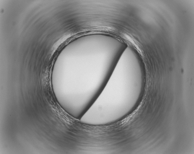 X0000086980875200704161125