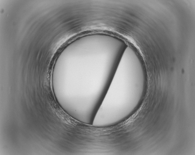 X0000086980879200704161125
