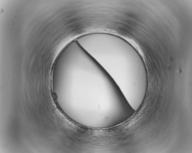 X0000086980903200704161124