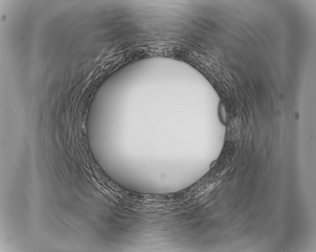 X0000086980913200704161123