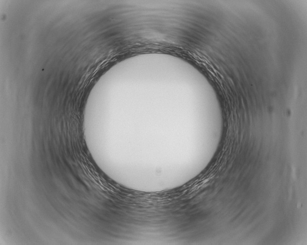 X0000086980916200704161123