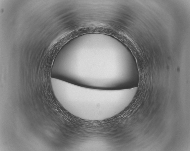 X0000086980919200704161123