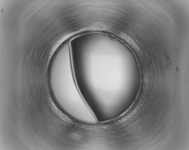 X0000086980934200704161124