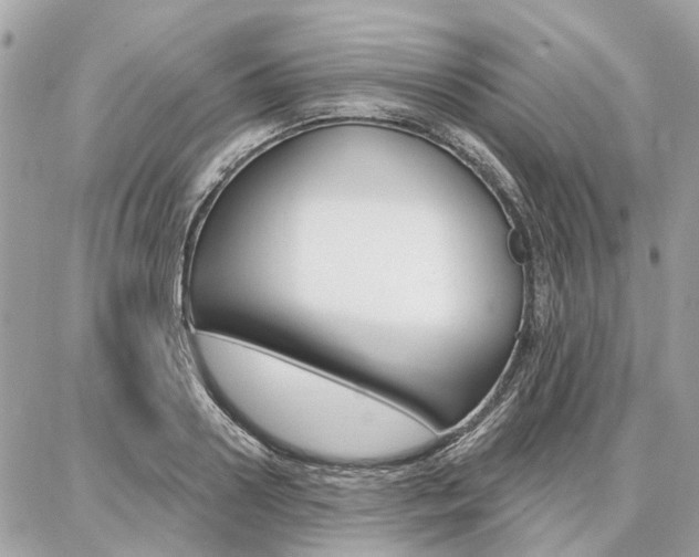 X0000086980938200704161124