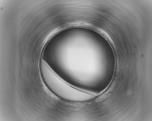X0000086980946200704161124