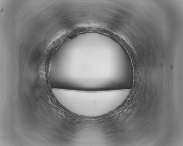 X0000086980967200704161123