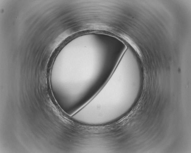 X0000086980972200704161123