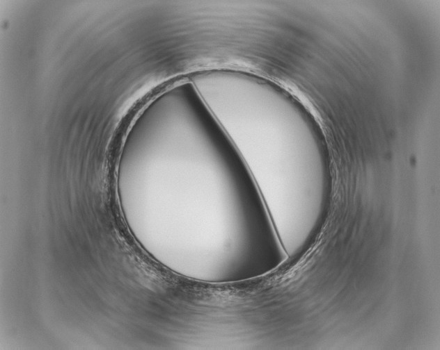 X0000086980975200704161123