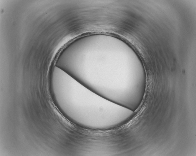 X0000086980982200704161123