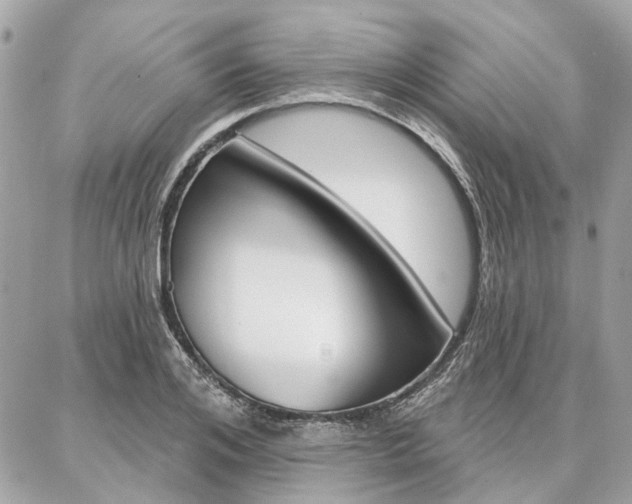X0000086980984200704161123