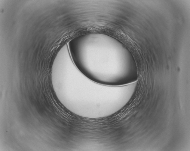 X0000086981012200704161122