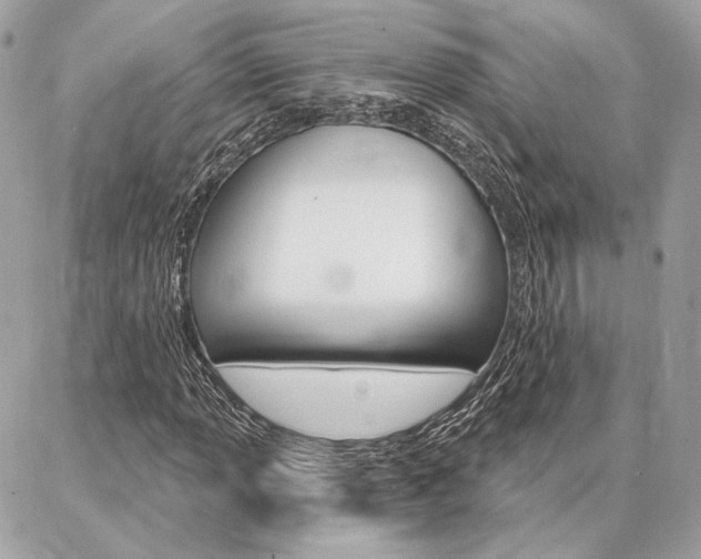 X0000086981013200704161122