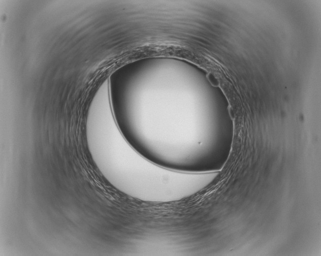 X0000086981014200704161122