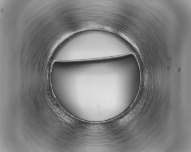 X0000086981021200704161122