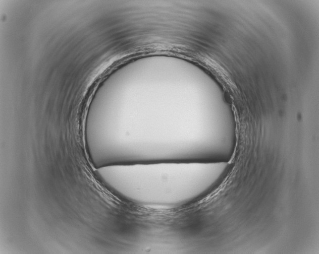 X0000086981023200704161122