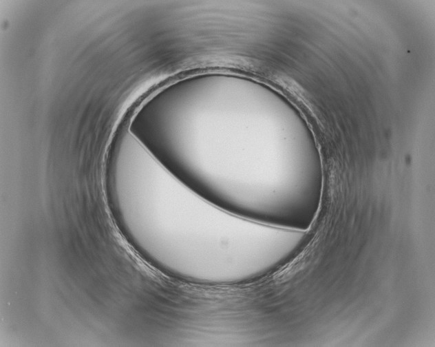 X0000086981024200704161122