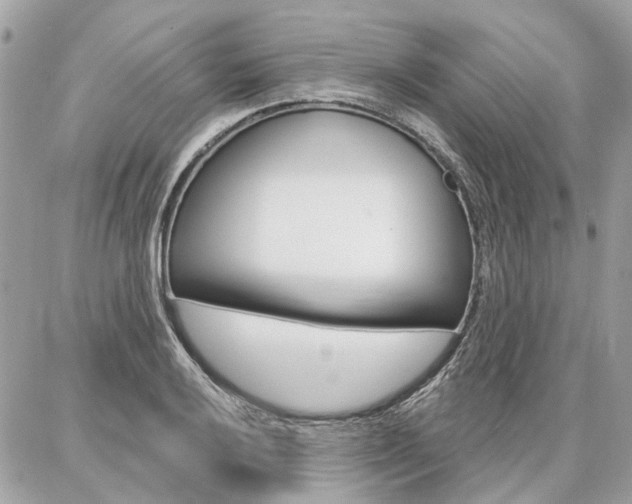 X0000086981032200704161122
