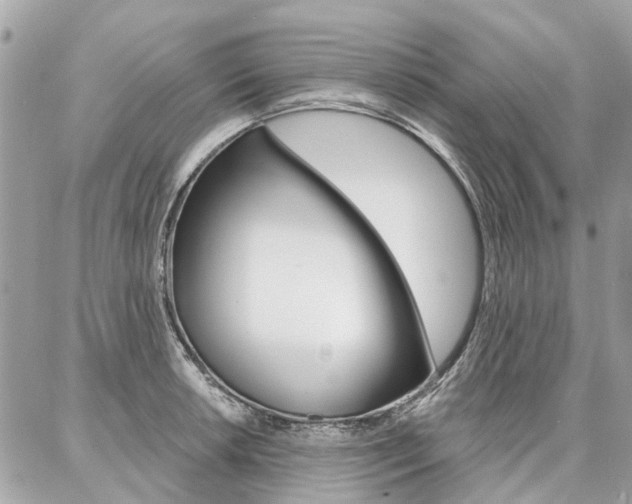 X0000086981042200704161122