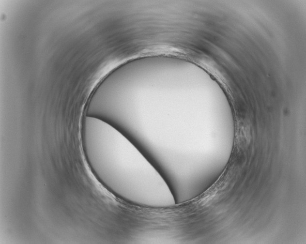 X0000086981055200704161122