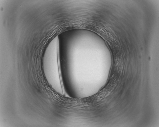 X0000086981057200704161122