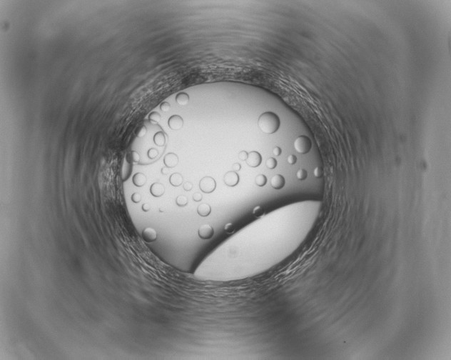 X0000086981059200704161122