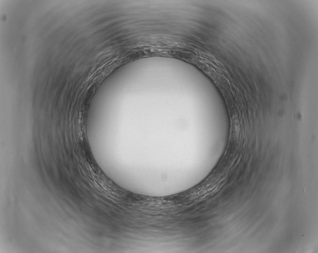 X0000086981060200704161122