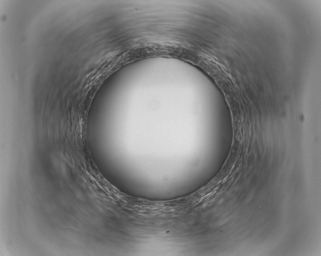 X0000086981061200704161122