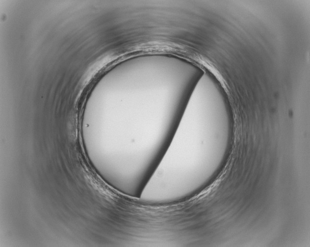 X0000086981075200704161121