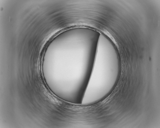 X0000086981076200704161121