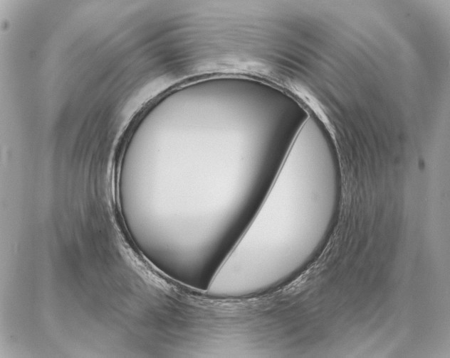 X0000086981080200704161121